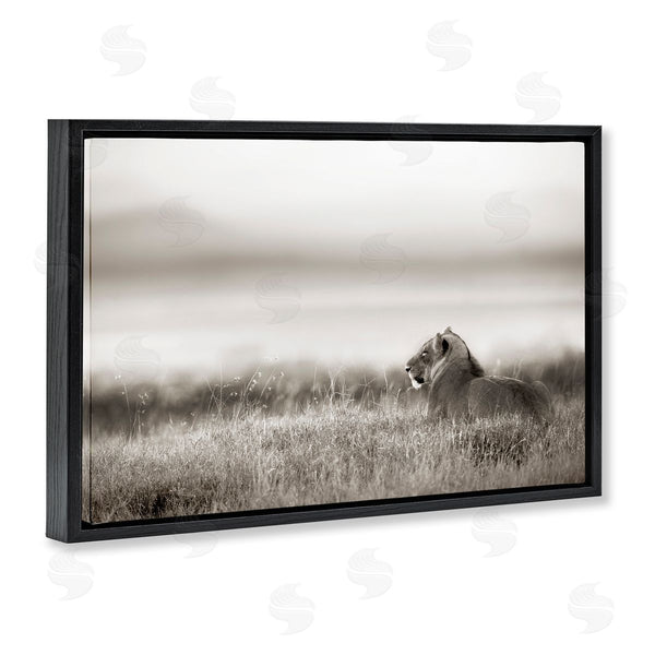 Stupell Industries Danita Delimont | Resting Lion In Savanna Grass