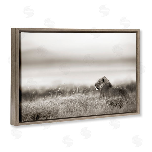 Stupell Industries Danita Delimont | Resting Lion In Savanna Grass