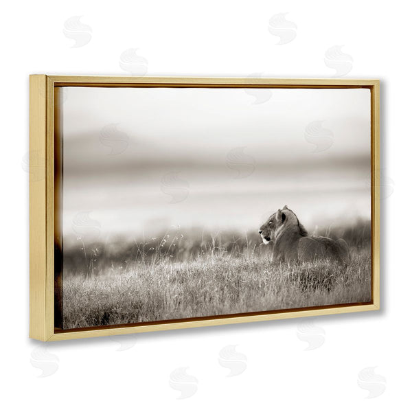 Stupell Industries Danita Delimont | Resting Lion In Savanna Grass