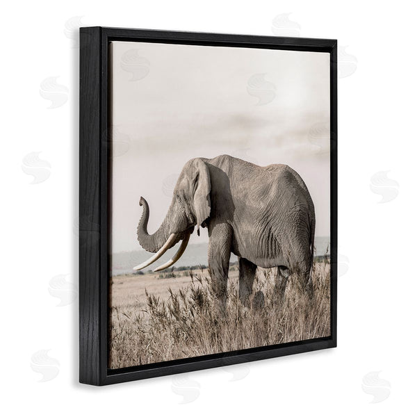 Stupell Industries Danita Delimont | Serene Elephant In Nature