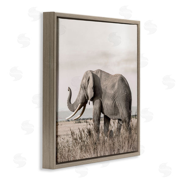 Stupell Industries Danita Delimont | Serene Elephant In Nature