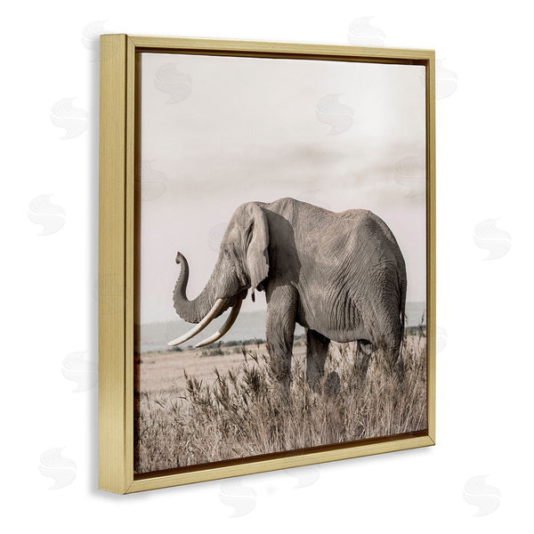 Stupell Industries Danita Delimont | Serene Elephant In Nature