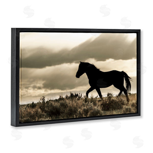 Stupell Industries Danita Delimont | Silhouette Of Horse Roaming