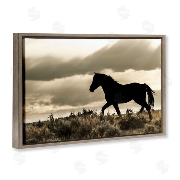 Stupell Industries Danita Delimont | Silhouette Of Horse Roaming