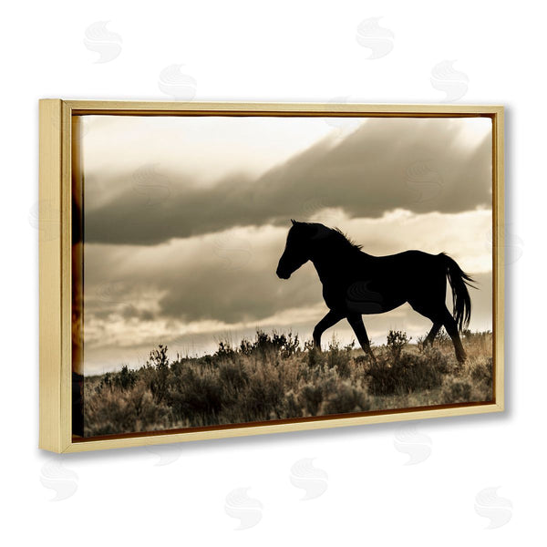 Stupell Industries Danita Delimont | Silhouette Of Horse Roaming