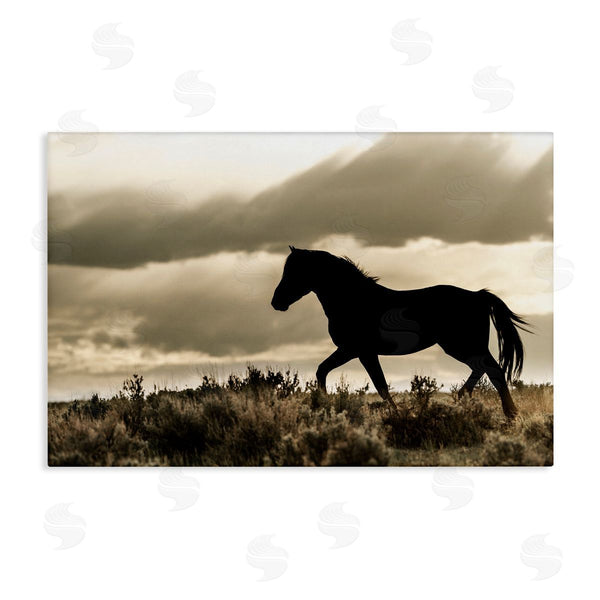stupell industries Danita Delimont | Silhouette of Horse Roaming