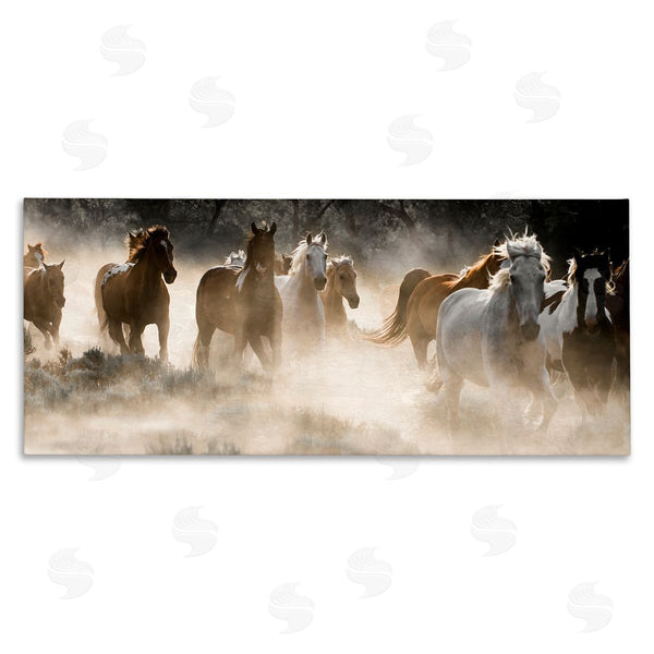stupell industries Danita Delimont | Striking Horse Herd Galloping Wall Art