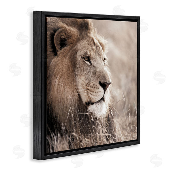 Stupell Industries Danita Delimont | Strong Gazing Lion Wall Art
