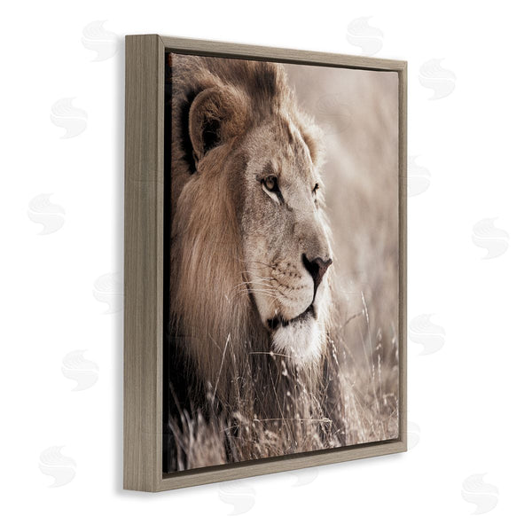 Stupell Industries Danita Delimont | Strong Gazing Lion Wall Art