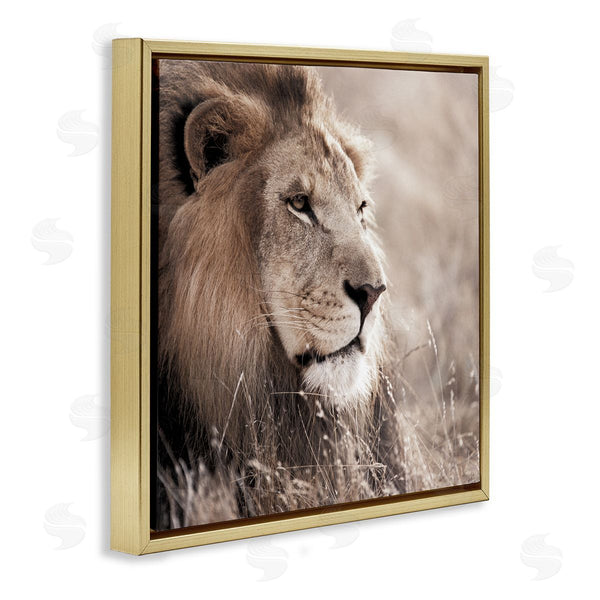 Stupell Industries Danita Delimont | Strong Gazing Lion Wall Art