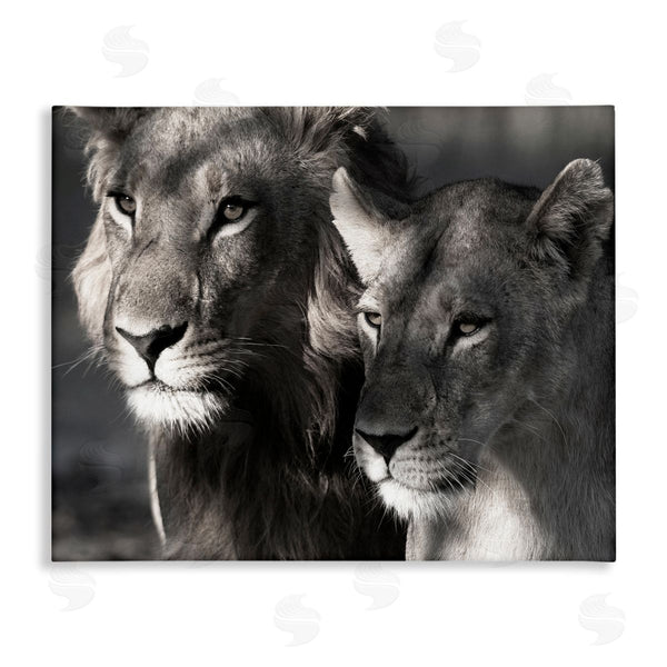 stupell industries Danita Delimont | Strong Lion and Lioness Wall Art