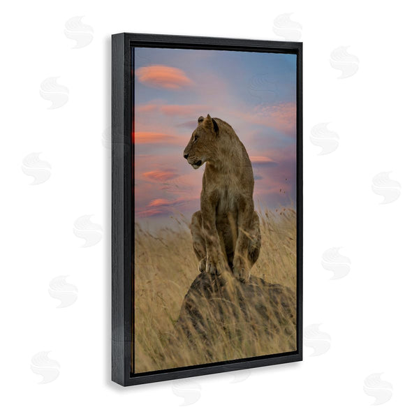 Stupell Industries Danita Delimont | Strong Lioness At Sunset