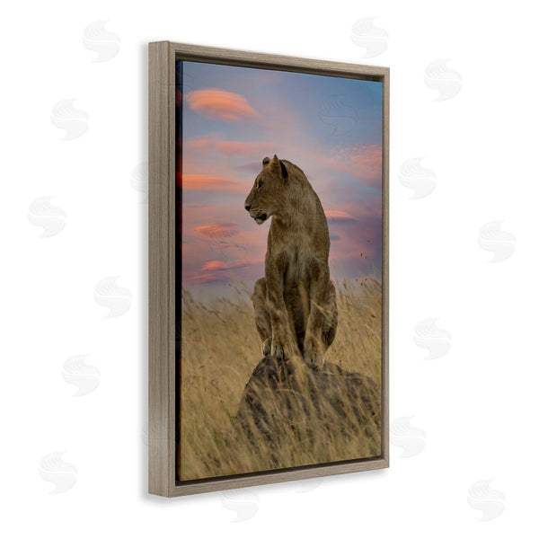 Stupell Industries Danita Delimont | Strong Lioness At Sunset
