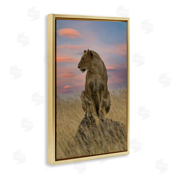 Stupell Industries Danita Delimont | Strong Lioness At Sunset
