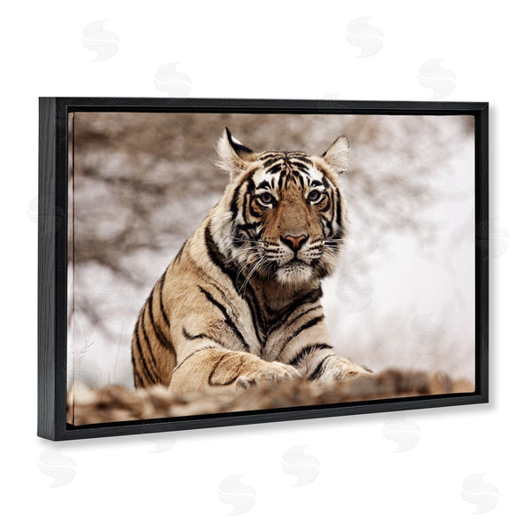 Stupell Industries Danita Delimont | Strong Tiger Atop Hill