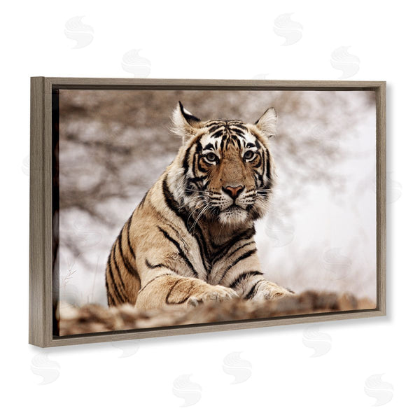Stupell Industries Danita Delimont | Strong Tiger Atop Hill
