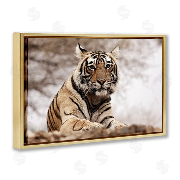 Stupell Industries Danita Delimont | Strong Tiger Atop Hill