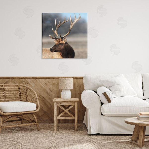 Stupell Industries Danita Delimont | Stunning Elk Portrait