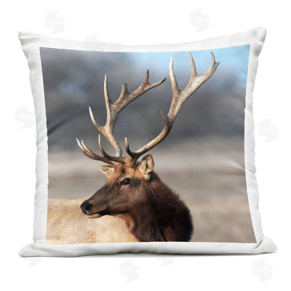 Stupell Industries Danita Delimont | Stunning Elk Portrait Printed Throw Pillow