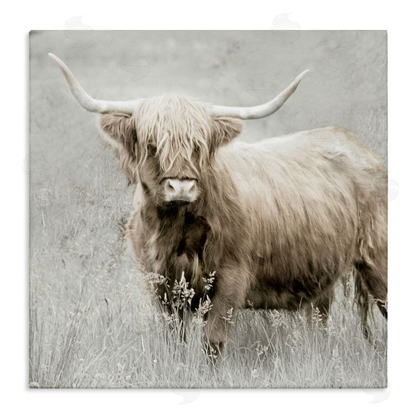 stupell industries Danita Delimont | Subtle Longhorn Cattle