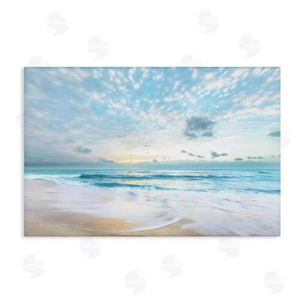 Stupell Industries Danita Delimont | Sun Bleached Ocean Shore