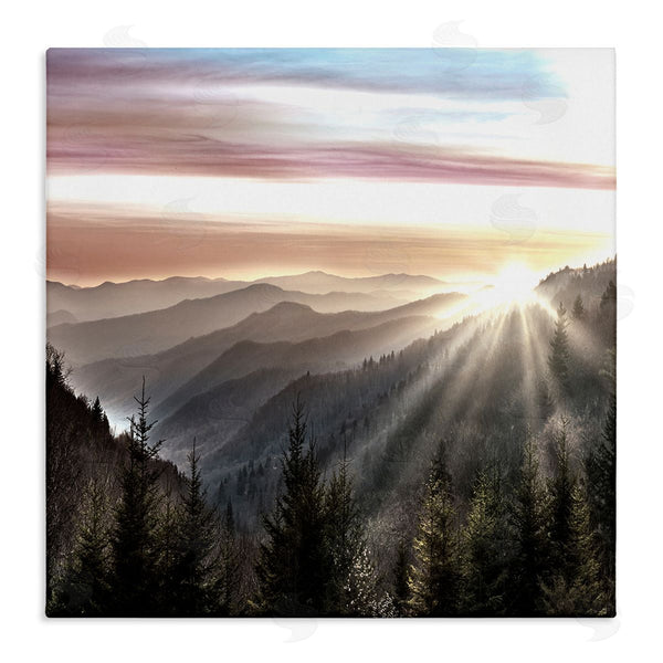 stupell industries Danita Delimont | Sun Rays Through Peaks Wall Art