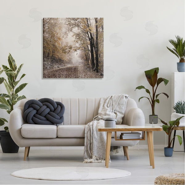 Stupell Industries Danita Delimont | Sunlit Woodland Nature Trail Wall Art