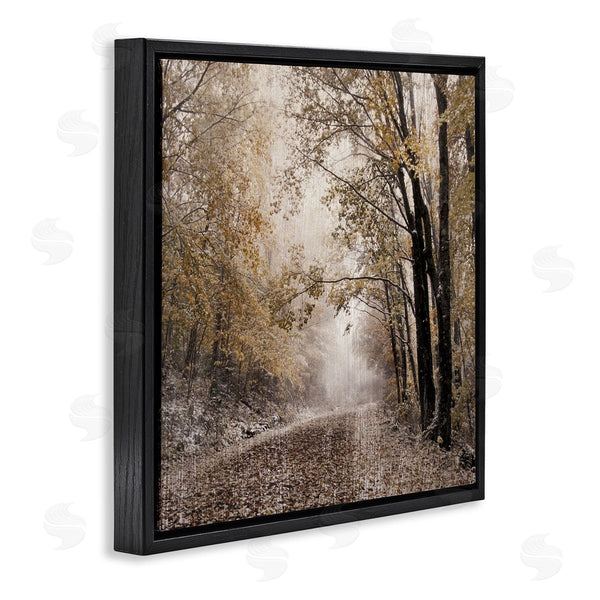 Stupell Industries Danita Delimont | Sunlit Woodland Nature Trail Wall Art