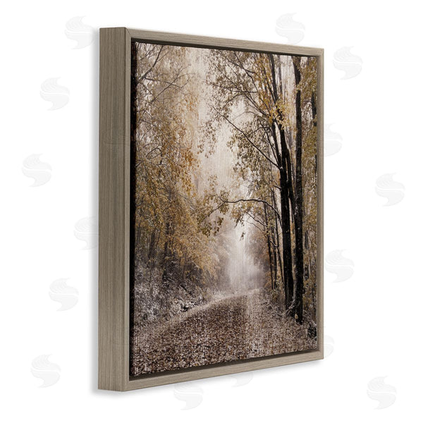 Stupell Industries Danita Delimont | Sunlit Woodland Nature Trail Wall Art