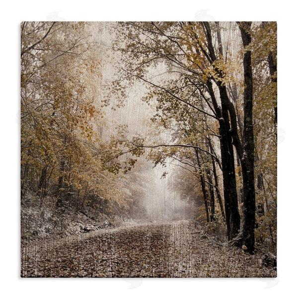 stupell industries Danita Delimont | Sunlit Woodland Nature Trail Wall Art