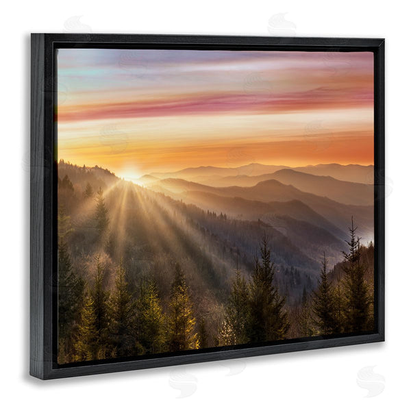Stupell Industries Danita Delimont | Sunrise Through Mountain Forest Skyline
