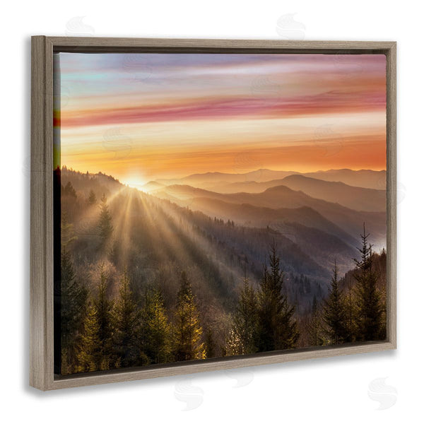 Stupell Industries Danita Delimont | Sunrise Through Mountain Forest Skyline
