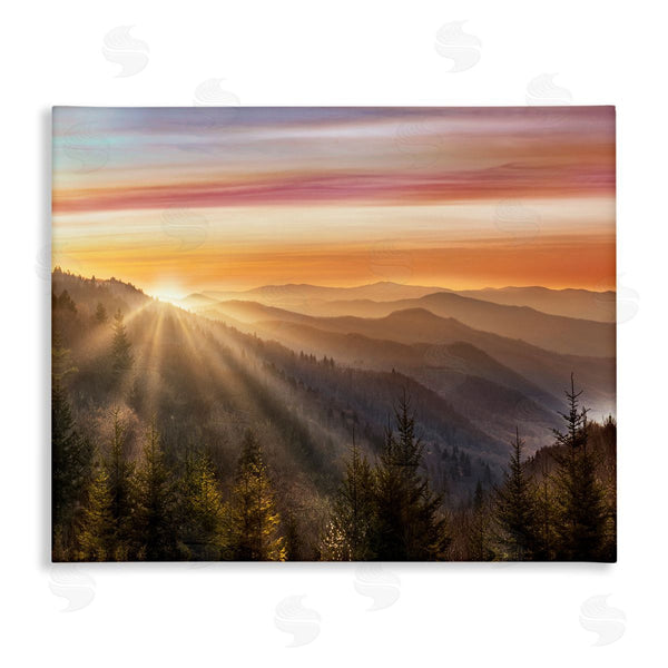 stupell industries Danita Delimont | Sunrise Through Mountain Forest Skyline