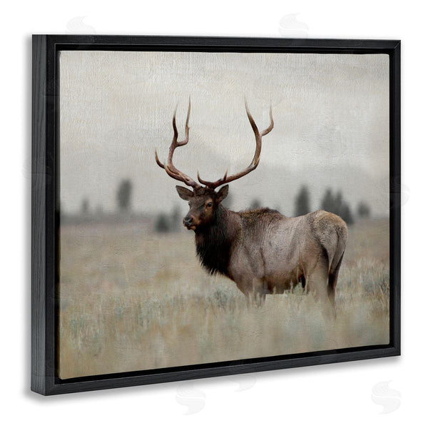 Stupell Industries Danita Delimont | Tranquil Elk Deer Grazing Rural Farmland Field Wall Art