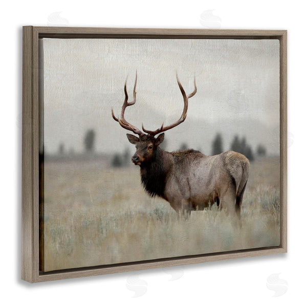 Stupell Industries Danita Delimont | Tranquil Elk Deer Grazing Rural Farmland Field Wall Art