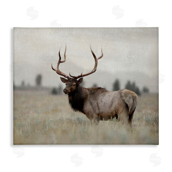 stupell industries Danita Delimont | Tranquil Elk Deer Grazing Rural Farmland Field Wall Art
