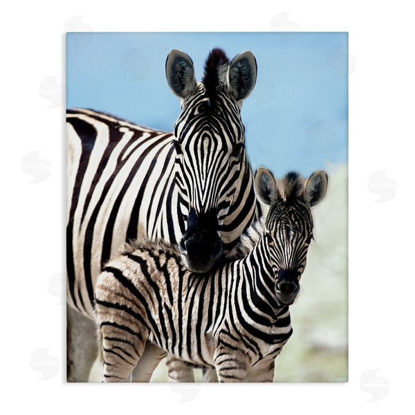 stupell industries Danita Delimont | Uplifting Zebra Family Mother Child Savanna Animals Wall Art