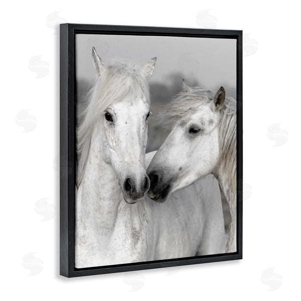 Stupell Industries Danita Delimont | White Horse Kiss Wildlife Wall Art