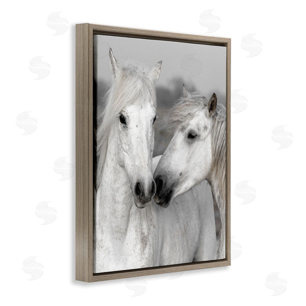 Stupell Industries Danita Delimont | White Horse Kiss Wildlife Wall Art