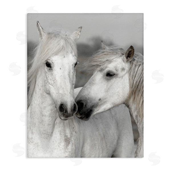stupell industries Danita Delimont | White Horse Kiss Wildlife Wall Art