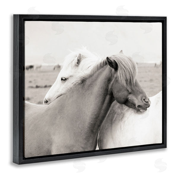 Stupell Industries Danita Delimont | Wild Country Horses Resting Animal Hug Monochromatic Photograph Wall Art