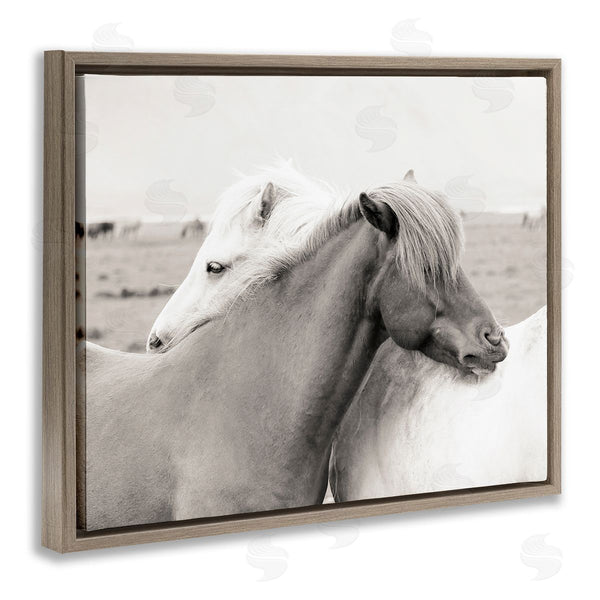 Stupell Industries Danita Delimont | Wild Country Horses Resting Animal Hug Monochromatic Photograph Wall Art