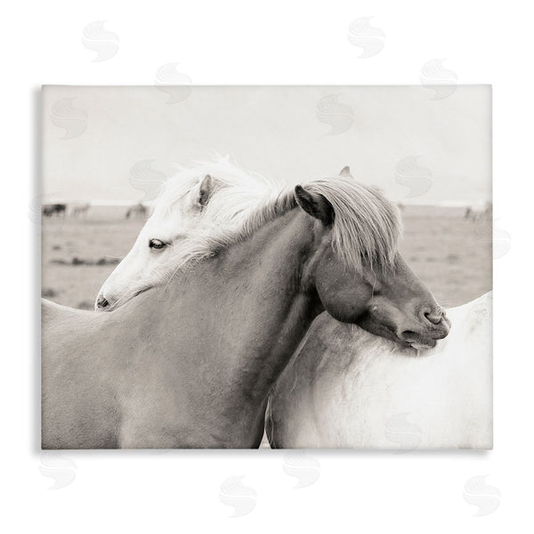 stupell industries Danita Delimont | Wild Country Horses Resting Animal Hug Monochromatic Photograph Wall Art