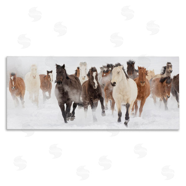 stupell industries Danita Delimont | Wild Horses Herd Foggy Winter Wall Art