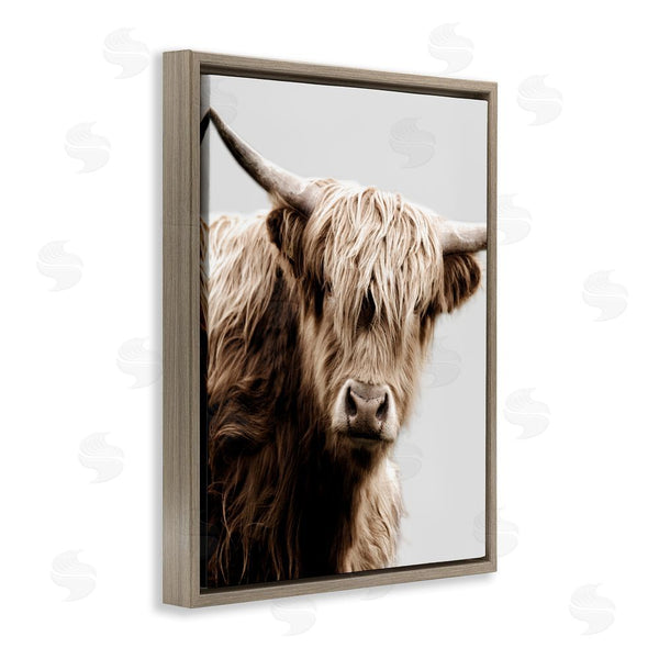 Stupell Industries Danita Delimont | Wooly Cattle Portrait Wall Art