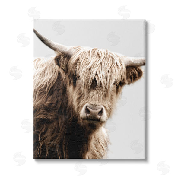stupell industries Danita Delimont | Wooly Cattle Portrait Wall Art