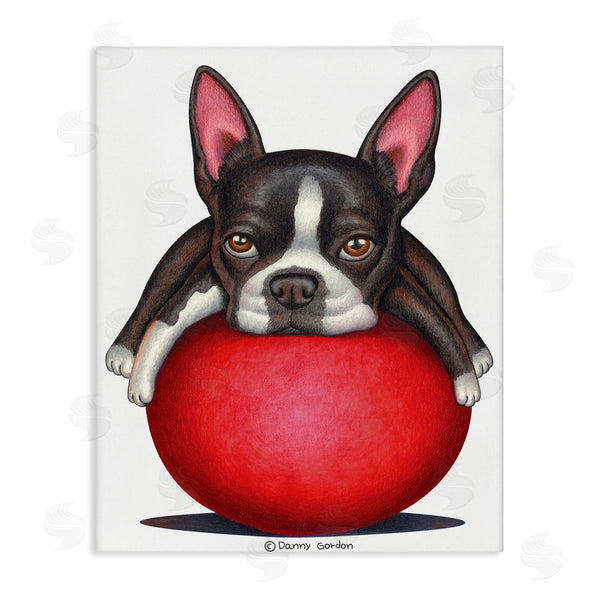 stupell industries Danny Gordan | Boston Terrier Big Red Ball Pet Dog Illustration Wall Art