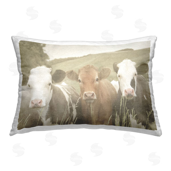 stupell industries Daphne Polselli | Cows in Rural Field
