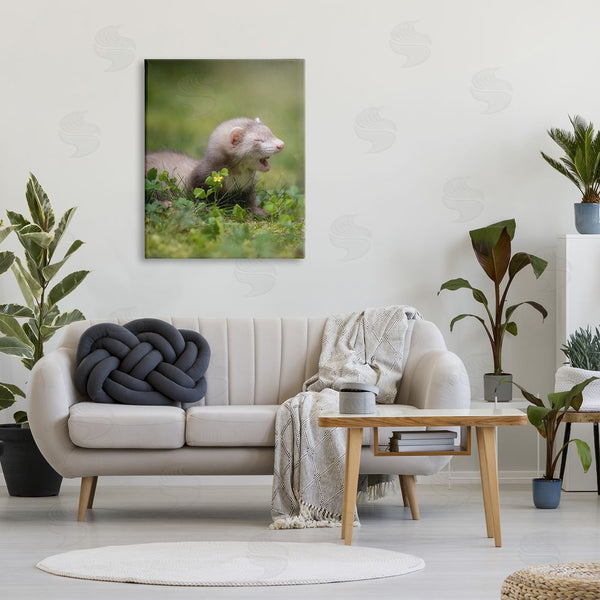 Stupell Industries Darya Zelentsova | Baby Ferret In Grass Wall Art