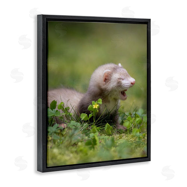 Stupell Industries Darya Zelentsova | Baby Ferret In Grass Wall Art